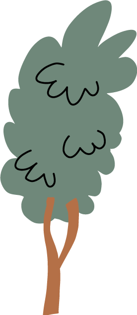 Baum - Ursus Formati